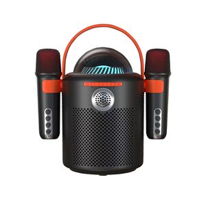 Zvucnik Bluetooth Y-11 sa 2 mikrofona crni (MS).