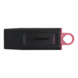 Kingston Data Traveler Exodia Onyx DTX USB flash memorija 256GB 3.2 crna.