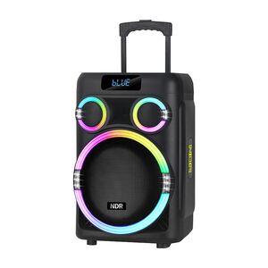 Zvucnik bluetooth NDR-B315 60W 15inca sa dva mikrofona crni (MS).