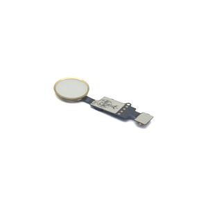 Univerzalno home dugme + flet kabl za Iphone 7/7 Plus/8/8 Plus gold (MS).