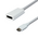 Adapter Type C na DP 4K 60Hz.