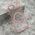 Maska / futrola COLOR RING MagSafe za iPhone 17 Air roze (MS).