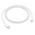 Apple data kabl Type C na Lightning 1m (MX0K2ZM/A).