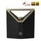 Bluetooth zvucnik BUGANi Brief Plus BS12304 crno-zlatni.
